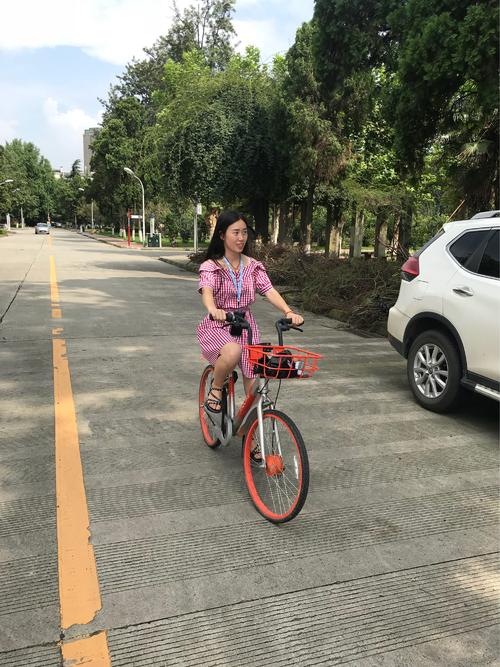 学习骑_250字