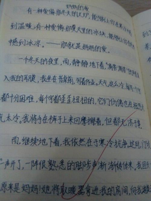 [环境组成]回家途中的场景_350字