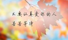 树 您不要再等待_200字