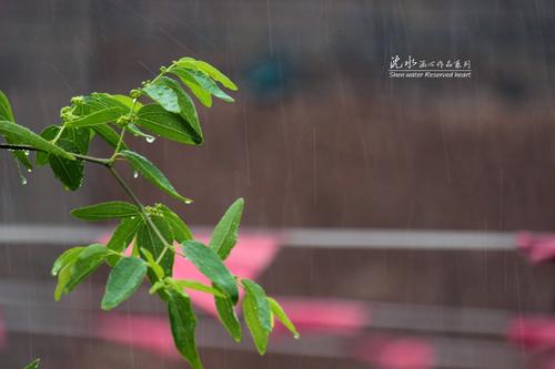 雨后下雨_200字