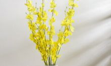 花瓶不是用来插花的_150字