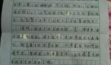 愤怒与惋惜_900字