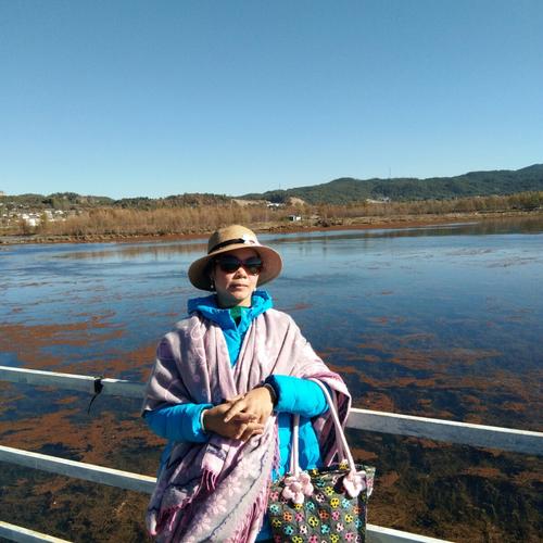 哈里匆匆_500字