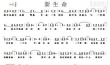 生命·妈妈_250字