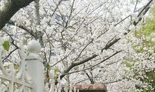 关于奶奶的作文：奶奶赶“潮”记_900字