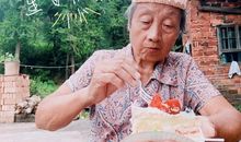 关于奶奶的作文：奶奶的心愿_1000字