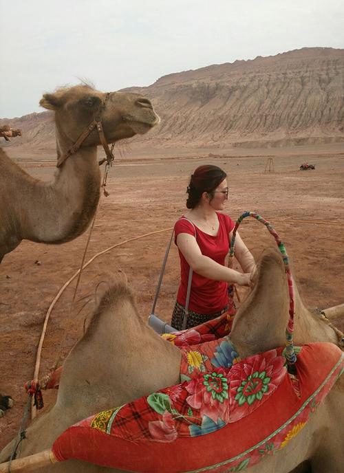 触摸火焰山_2000字