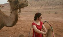 触摸火焰山_2000字