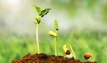 生命的力量_200字