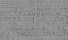 蚂蚁_300字