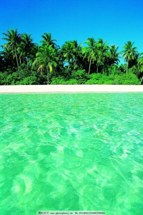 [2012年夏季论文]暑假旅行“海景”_900字