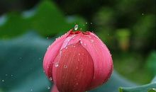 [2013暑期征文]这个夏天_700字