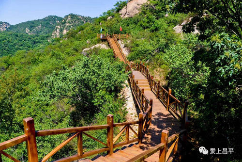 夏天和晚景_100字
