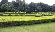 [2012暑期征文]青秀山之旅_450字