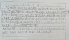 [2013暑期征文]愉快的暑期生活_800字