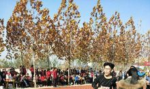 [2013暑期征文]奋进需要勇气_600字