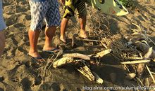 [2013暑期征文]三特渔村游记_1500字