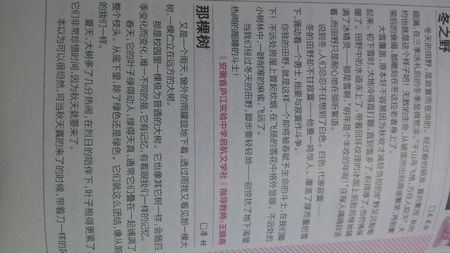 [2012年夏季论文]发现自己的优势_450字