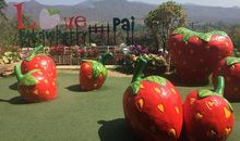 [2013暑假征文]暑假草莓园游记_400字