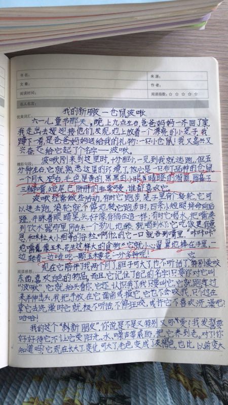 [2013年夏季论文]多彩暑假生活_600字