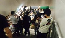 [2013暑期征文]幽林闻早语_700字