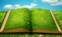 [2013暑假征文]美丽的千树园_450字