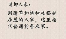 多样的幸福_200字