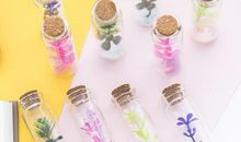 我们的许愿瓶_400字