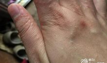 [2012暑期征文]给猪“挠痒痒”_800字