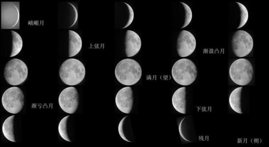 月亮词_200字
