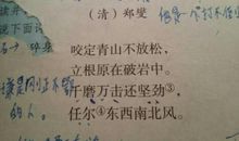粑粑诗_200字