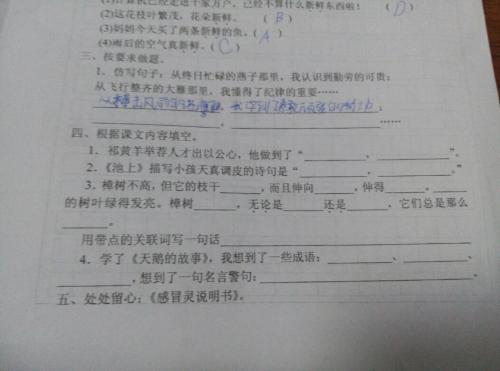 阿姨，不正确的阿姨
