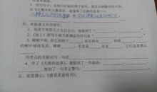 风雨不误的邮递员阿姨_700字