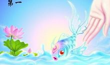 保护地球的“心脏”_350字