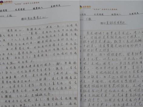 [2012年夏季论文]阅读“李大”和他的影子“感觉_300字