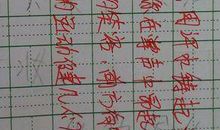 为二百米运动员加油_100字