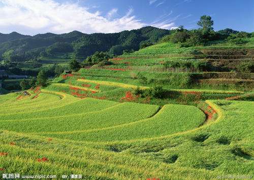 国家风景_100字