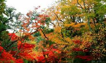 [2013暑期征文]凉水杯的用途_200字