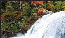 [2013暑期征文]这个暑假最别样的风景_1000字