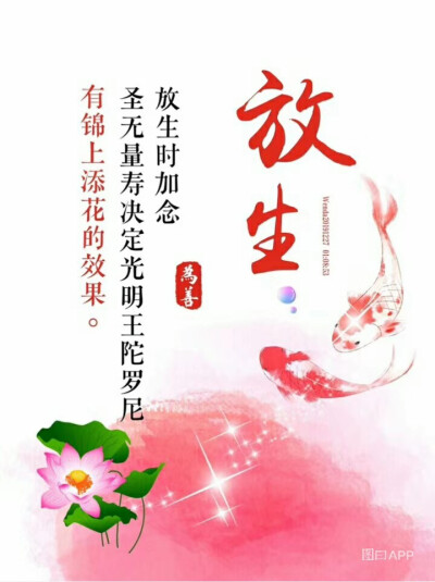 宽容是一个文明和生命测试_450字