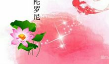 宽容是文明和人生的考试_450字