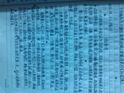 [2013年暑假论文]暑假乐趣_800字