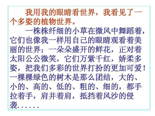 我用眼睛看世界_550字