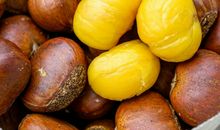 一、拍摄童年_150字