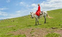 面对困难，勇敢，我和你同行_650字