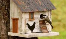 [2013暑期征文]听说，浪子安了家_1500字