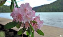 [2013暑期征文]一场梦_400字