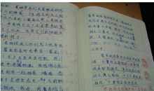 我是中国人！_550字