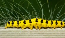 [2013暑期征文]破茧成蝶的美丽_1000字