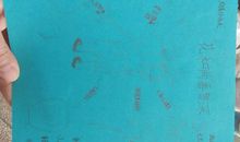 [2013暑期征文]读《水浒传》有感_600字